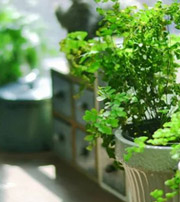 宿迁专属于你的开运指南，助你鸿运当头福满身！