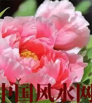 宿迁预示你财运上升，姻缘可成的梦境，快来看看吧！