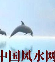 宿迁做梦梦到这些，是要富裕的征兆！